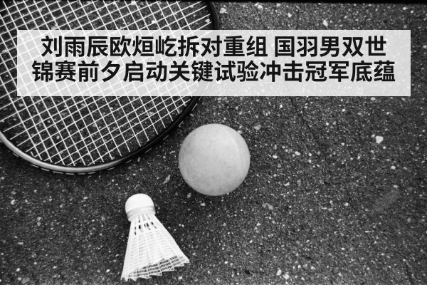Liu Yuchen Ou Xuanyi badminton