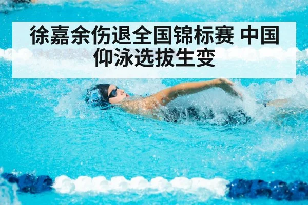 徐嘉余伤退全国锦标赛 中国仰泳选拔生变